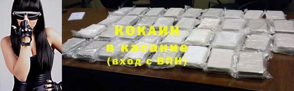 стаф Белокуриха