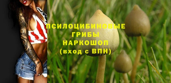 стаф Белокуриха